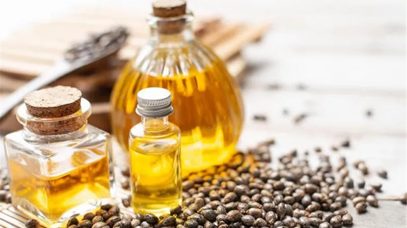 زيت الخروع.. الحل المثالي للتخلص من الديدان وتنظيف الجسم