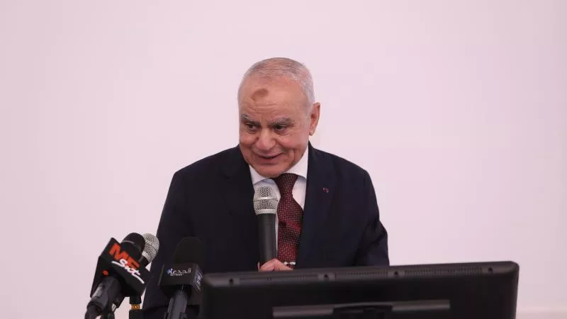 رئيس مجلس أمناء الجامعات الأوروبية :القارة الإفريقية تمتلك إمكانيات لا حدود لها من المواهب والإبتكارات والصمود