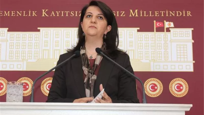 حزب الشعوب التركي: حكومة أردوغان ترعى السرقة وجرائم الحرب في المنطقة