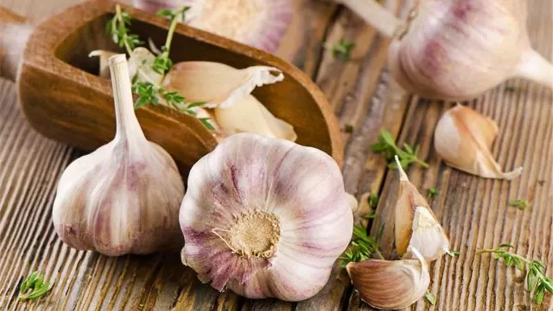 ماء الثوم.. الحل السحري لرفع المناعة والوقاية من كورونا