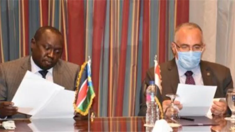 تفاصيل مباحثات وزيرا الرى بمصر وجنوب السودان