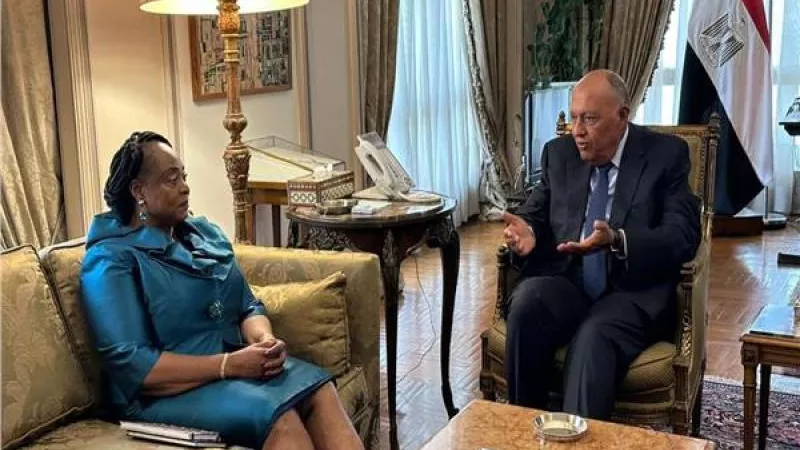 ماذا دار في اجتماع وزير الخارجية مع رئيسة مجلس الشيوخ في جمهورية غينيا الاستوائية؟