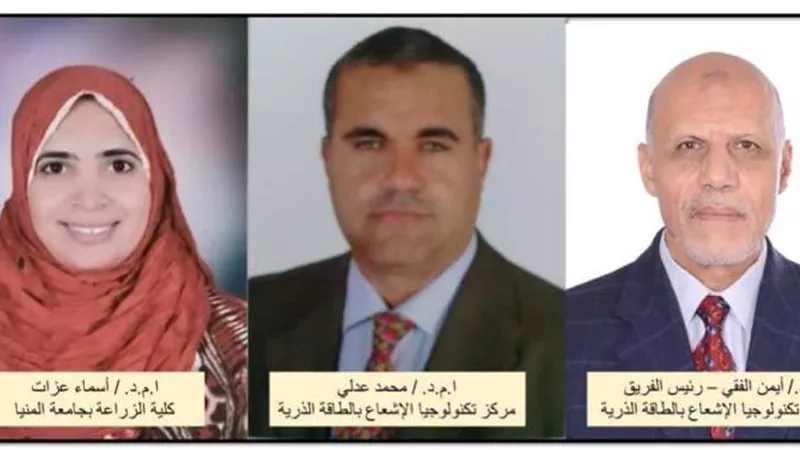 «الطاقة الذرية» تنجح في إنتاج صنف جديد من اللوبياء واعتماده من «الزراعة»