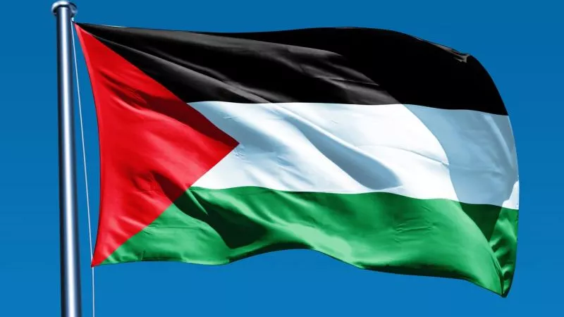 منتدى الخمسين سيدة يُدين مجزرة الاحتلال الإسرائيلي بغزة وجرائمه الوحشية بحق الأطفال والنساء