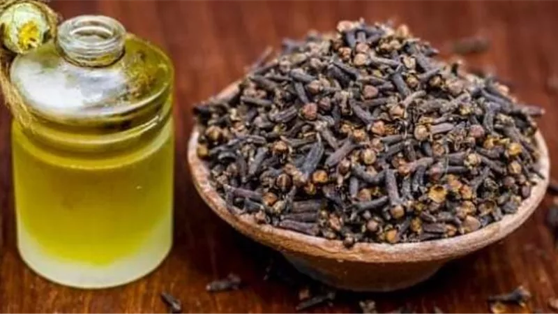 يعالج قرحة المعدة.. فوائد القرنفل للصحة