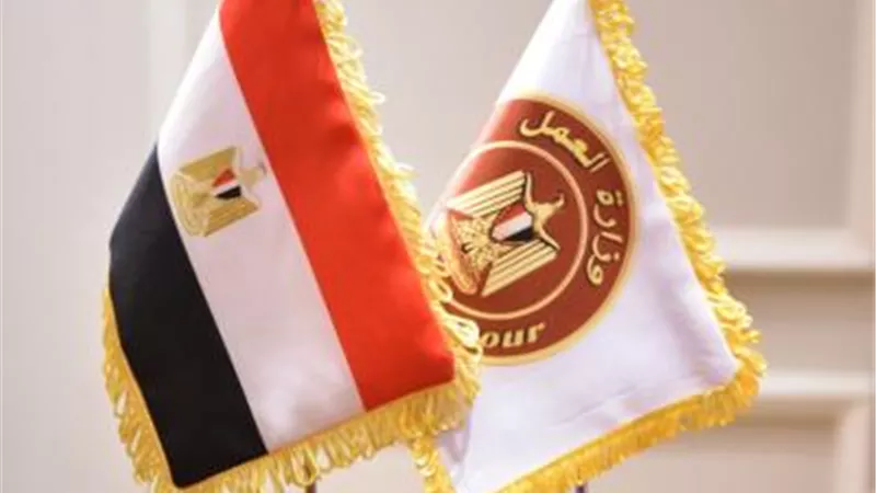 وزير العمل يوجه بسرعة الانتهاء من «دليل إجراءات التشغيل بالخارج»