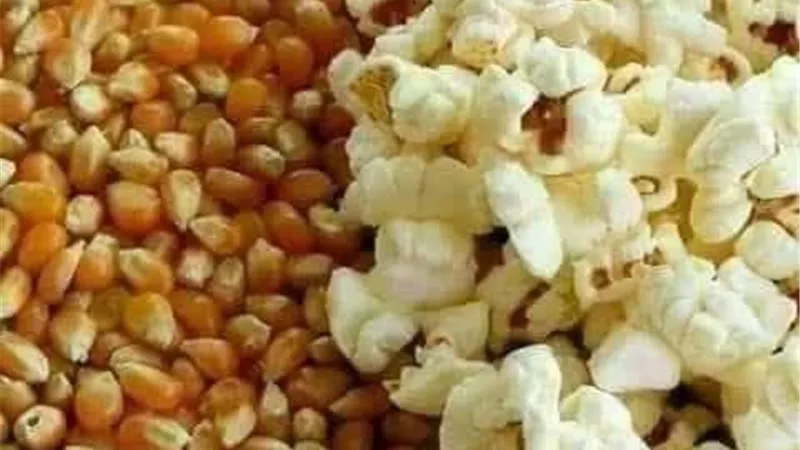 ماذا يحدث عند تناول الفشار بكميات كبيرة؟