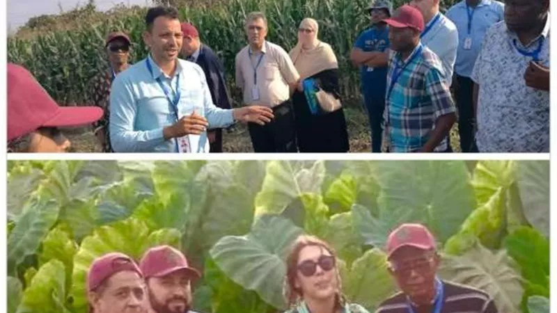 «الطاقة الذرية» تطلق مبادرة لدعم الفلاح لإنشاء نظم زراعية ذكية