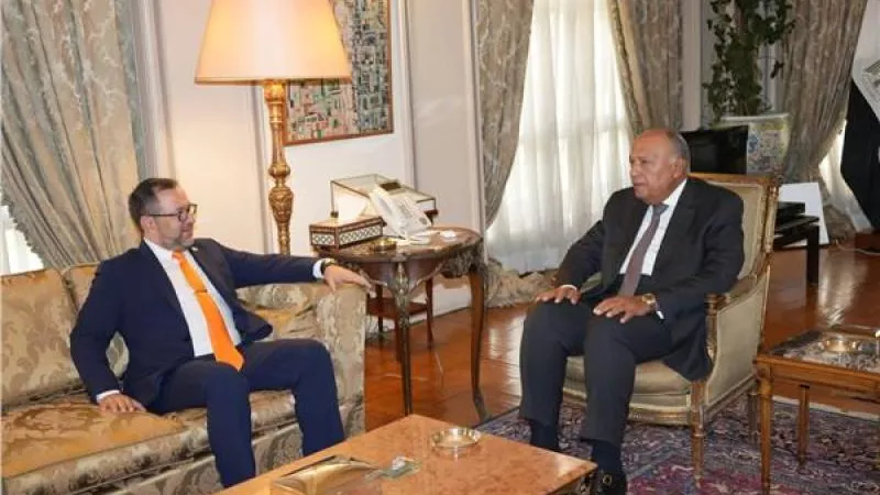تفاصيل لقاء وزير الخارجية ونظيره الفنزويلي