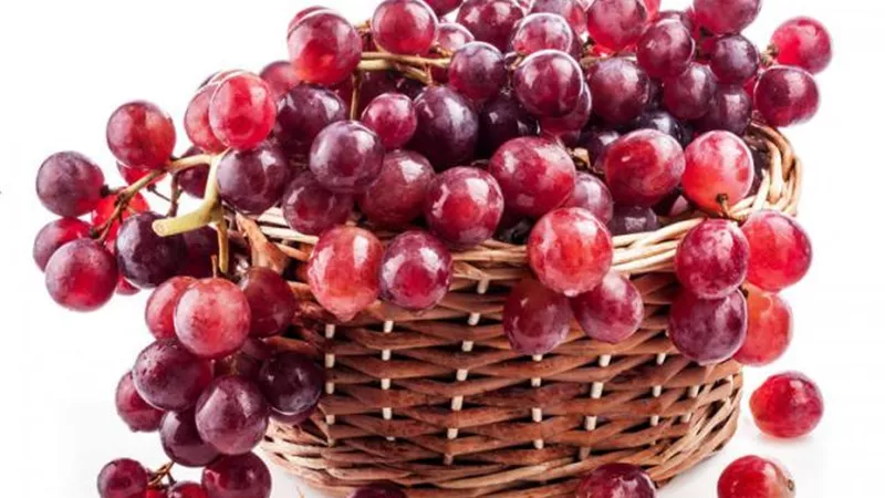 العنب الأحمر.. الروشتة العلاجية السحرية لحماية القلب والزهايمر