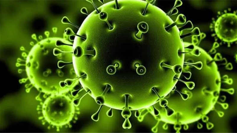 عضو مكافحة كورونا يكشف عدد المتطوعين المشاركين بالأبحاث السريرية للقاح الصينى