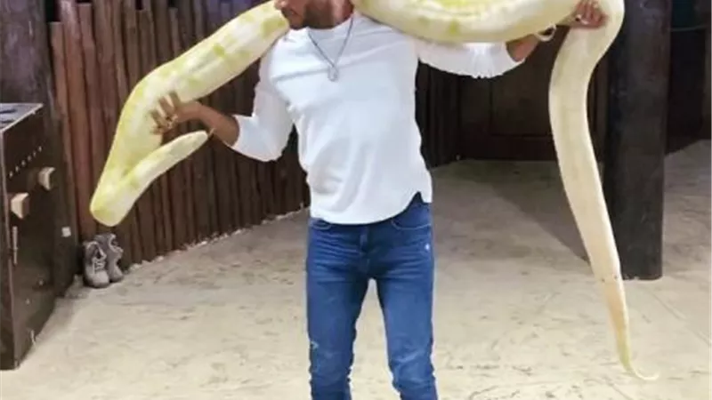 محمد رمضان يلعب مع ثعبان ضخم في دبي (فيديو)