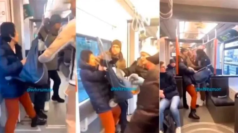 بالفيديو.. سيدة تخوض حربًا مع وحش خفي في قطار مزدحم وتتلقى نهاية مروعة