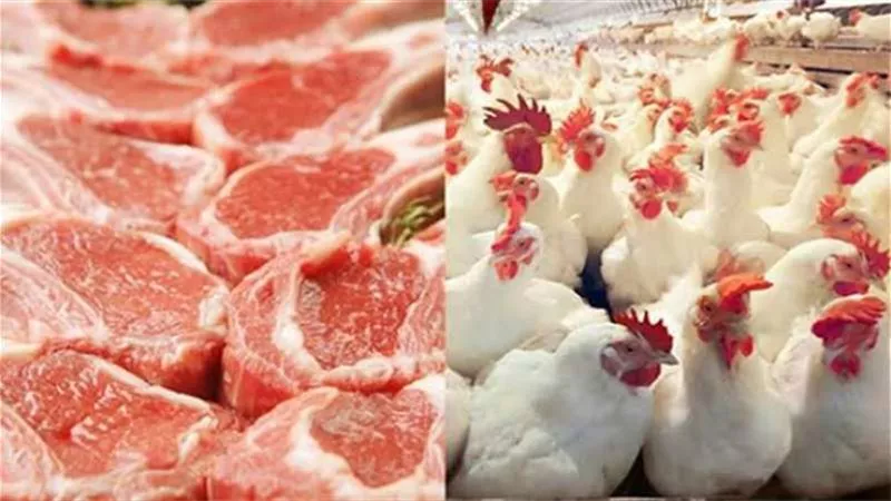 أسعار اللحمة والفراخ اليوم الجمعة 5-1-2024