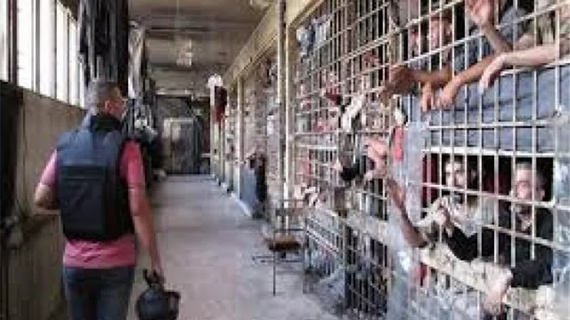 يحدث في تركيا..أردوغان يسجن 74 صحفيا لمدة 916 عاماً