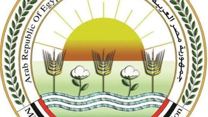 تعرف على تفاصيل مشروع إحياء الحرير من جديد فى الوادي الجديد