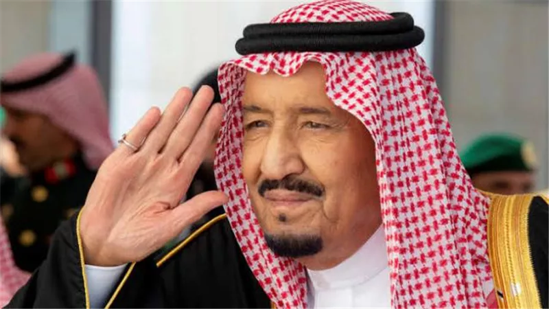 تفاصيل الاتصال التليفوني بين خادم الحرمين ورئيس نيجيريا