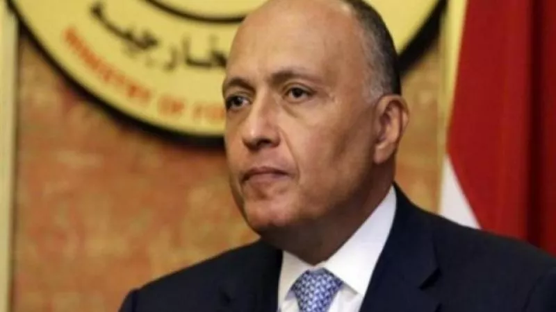 مصر توجه رسائل تحذيرية لإثيوبيا وتؤكد دعمها للصومال