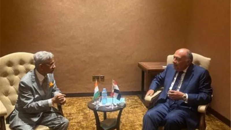 وزير الخارجية يؤكد خصوصية وأهمية العلاقات الاستراتيجية مع الهند