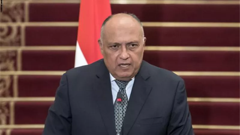عاجل.. بيان حاسم من وزير الخارجية بشأن الصلح النهائي  مع قطر و تركيا