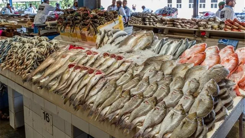 استقرار أسعار السمك فى سوق العبور للجملة