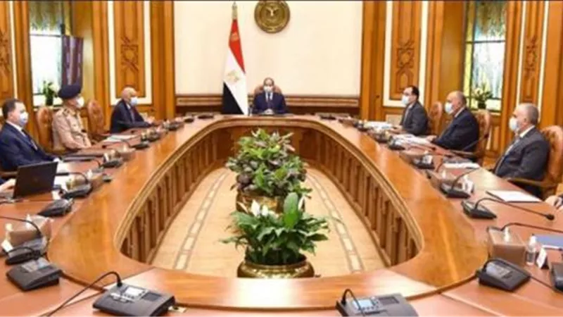 عاجل.. مجلس الأمن القومى المصرى يصدر بيان بشأن النهضة
