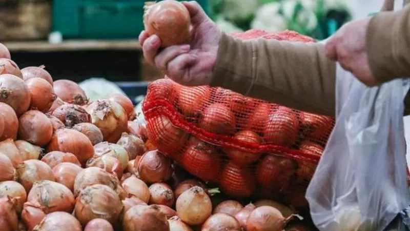 عاجل..  عودة تصدير البصل إبريل المقبل