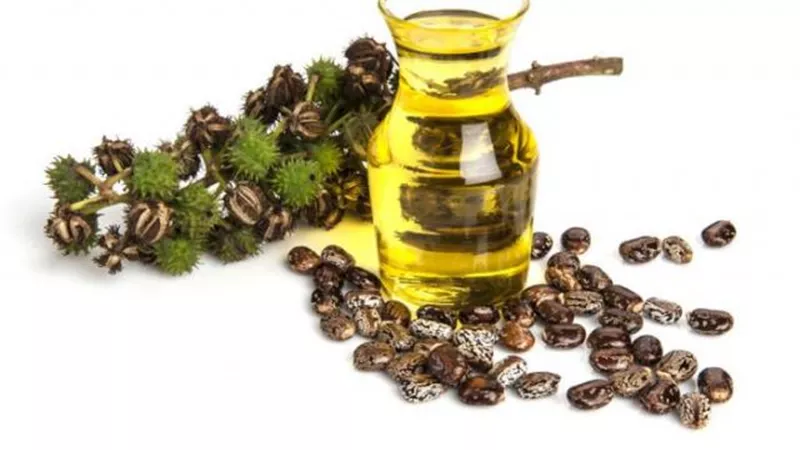 زيت الخروع.. كنز من الفيتامينات والفوائد الصحية