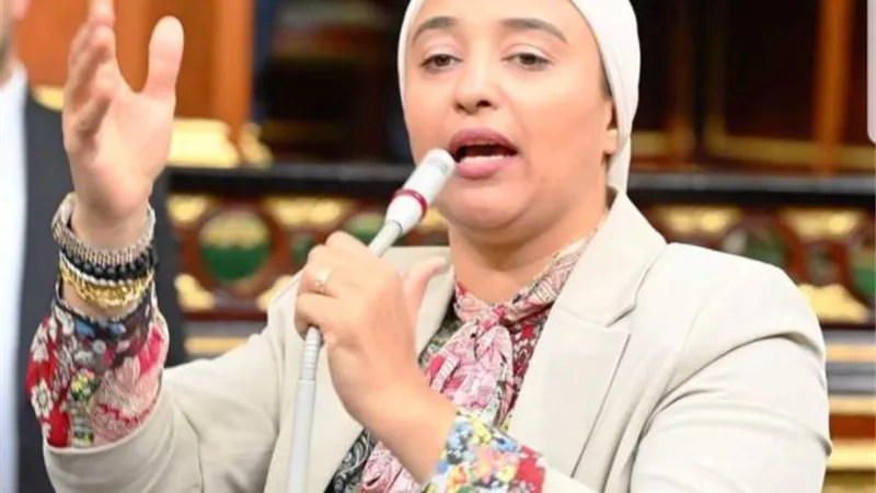 النائبة أميرة أبوشقة تطالب بحل أزمة شركات السياحة لتنفيذ برامج الحج والعُمرة