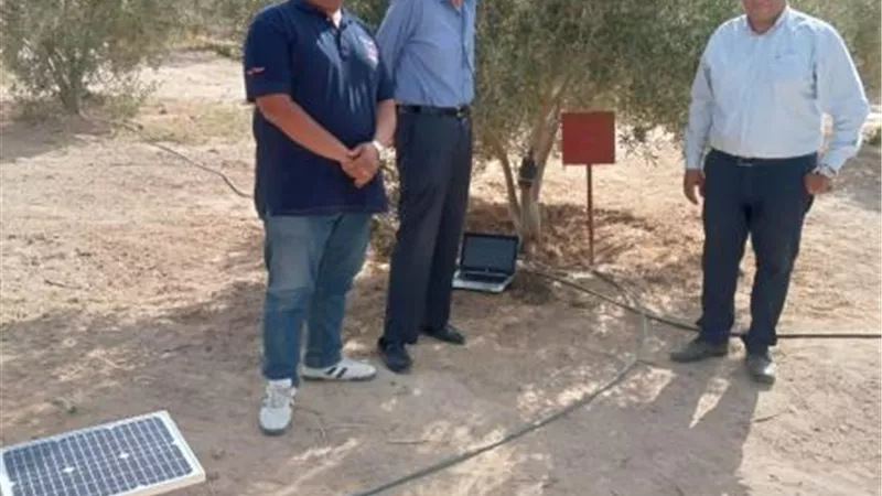 جامعة الملك سلمان تجرى بحوثًا للتقنيات الرقمية لحساب الاستهلاك المائي لأشجار الزيتون