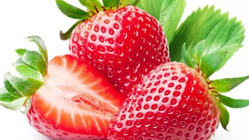 أول رد من «الزراعة» على حظر استيراد الفراولة المصرية بالسعودية