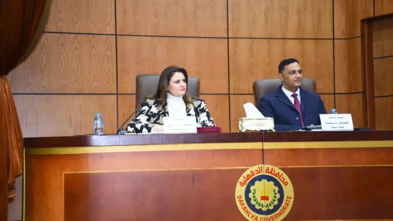 6,5 مليار جنيه قروض لمشروعات الشباب بالدقهلية