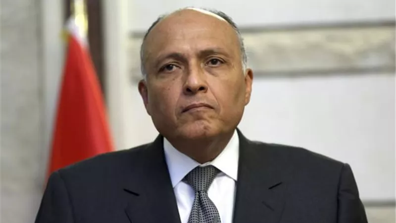 مصر تدين الاعتداء على طاقم طبي تابع للهلال الأحمر الإماراتى في تعز اليمنية