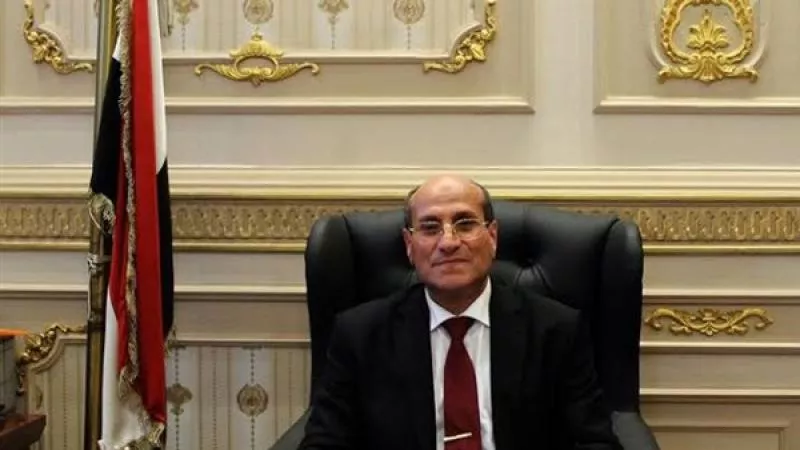 المستشار وفاء حرز مساعدًا لوزير العدل لشئون التفتيش القضائي