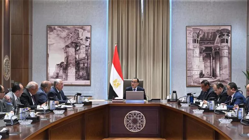 100 طن سنويًا.. الحكومة تضع خطة لتطوير زراعة وإنتاج الحرير