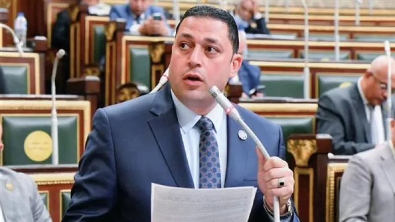 برلماني يطالب بتشكيل لجنة لفحص أعمال شركة شمال الدلتا لتوزيع الكهرباء