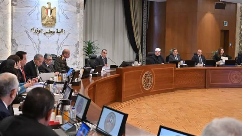 الحكومة تستعين بلجنة قانونية وفنية ومكتب محاماة عالمي لدراسة عروض الاستثمار