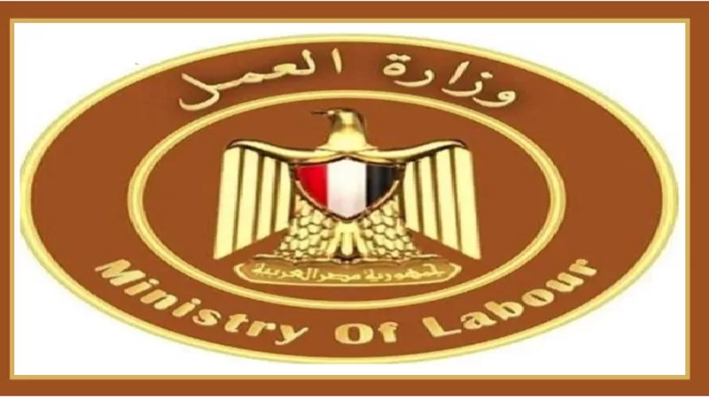 دور وزارة العمل في تنظيم سوق العمل وحماية حقوق العمال
