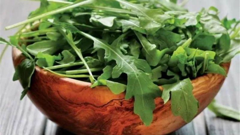 يحارب الشيخوخة والسكر.. تعرفي على فوائد الجرجير الصحية