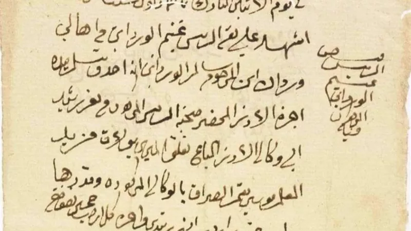 شاهد.. وثيقة عمرها 198 عامًا تكشف تفاصيل نقل شحنة أرز من رشيد إلى بولاق