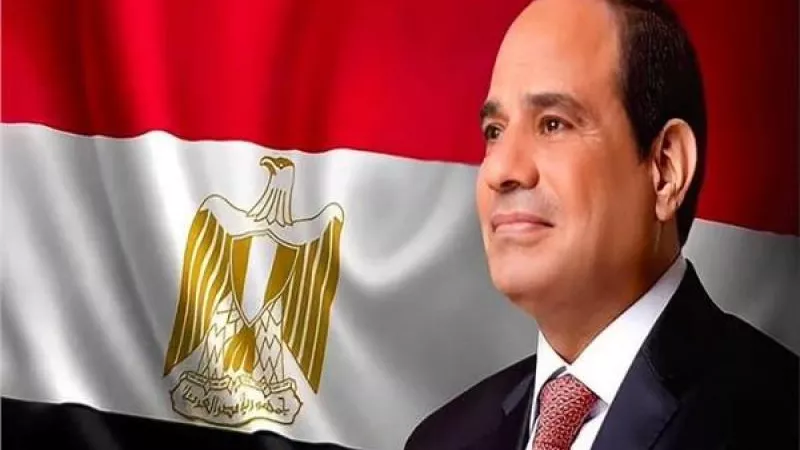 رسميًا.. « الخارجية » تبلغ روسيا والبرازيل عن ممثل الرئيس السيسي في البريكس