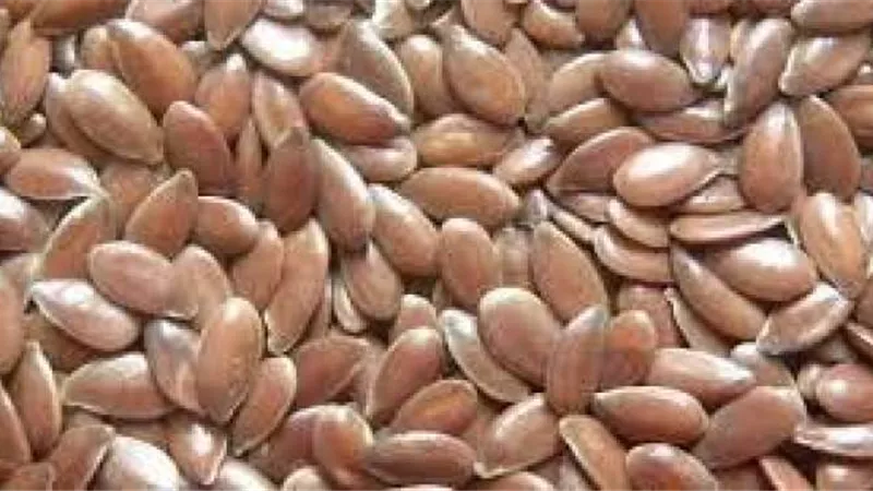 فوائد لاتعرفها عن بذور الكتان