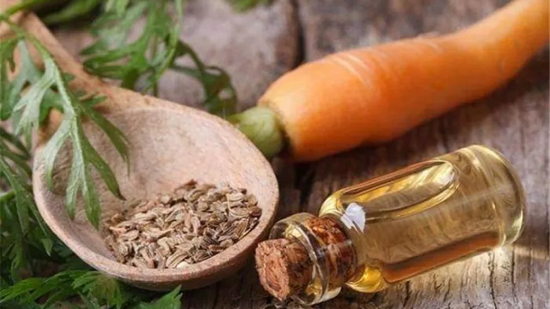 زيت الجزر.. الحل المثالي لجمال البشرة والشعر