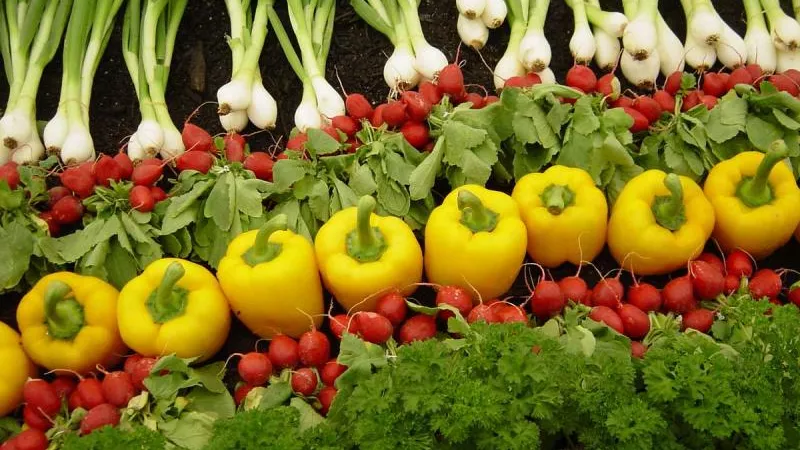 الطماطم بكام النهاردة .. أسعار الخضروات اليوم الثلاثاء 20-2-2024