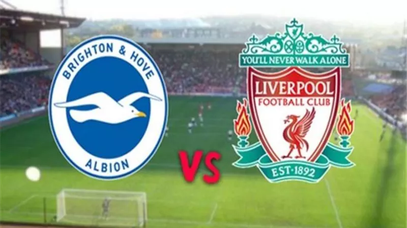 شاهد البث المباشر لمباراة ليفربول وبرايتون بالدوري الإنجليزي