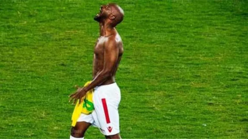 أول تعليق من شيكابالا بعد فيديو الكلب (صورة)