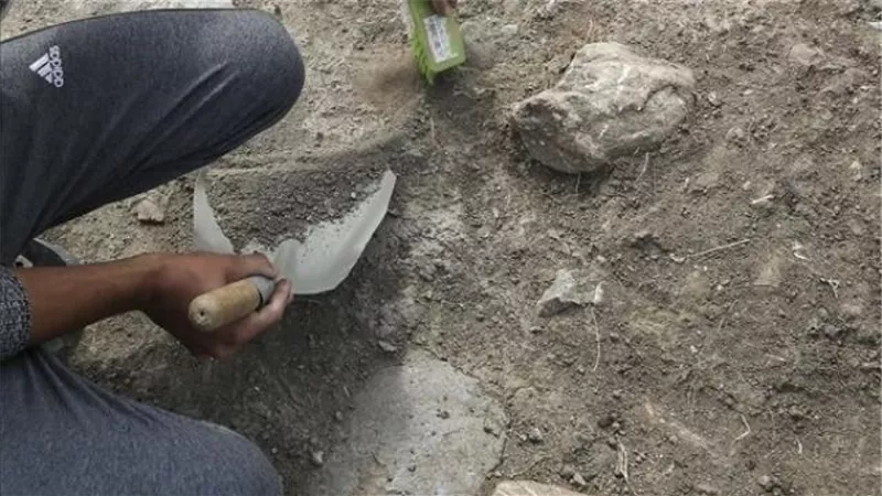 الكلب لم يفارقها لأكثر من 8400 عام.. اكتشاف جثة سيدة من العصر الحجري