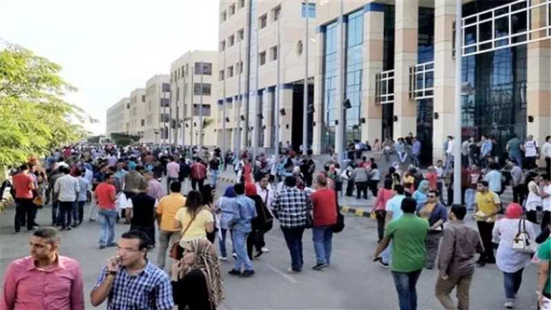 الإحصاء: ارتفاع أعداد خريجي التعليم العالي لـ 604.2 ألف خريج في 2019