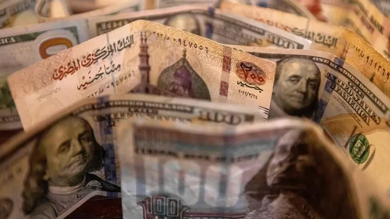 عاجل.. المصريون تنازلوا عن 1.05 مليار جنيه من العملات الأجنبية لشركات الصرافة بعد قرار تعويم الجنيه