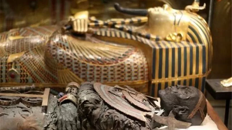المتحف المصرى: المومياوات الملكية جاهزة للنقل لمتحف الحضارة